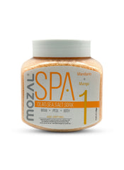 DEAD SEA SALT SOAK 550ml